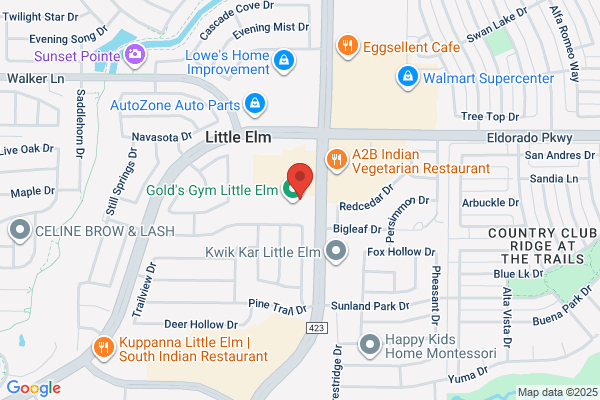Cicis - CLOSED