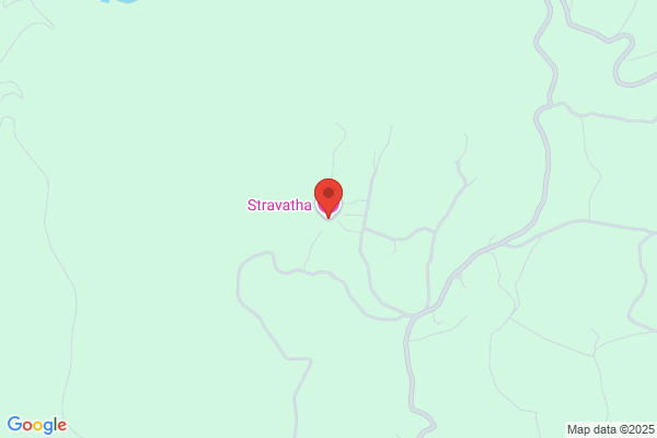 Stravagante Homes