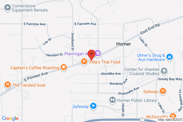 HORIZON SATELLITE LLC