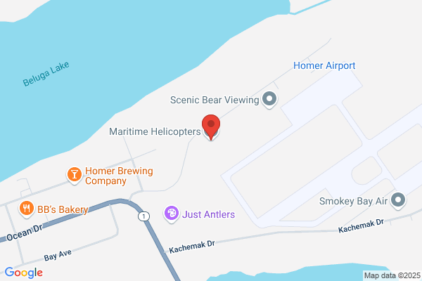 Maritime Helicopters
