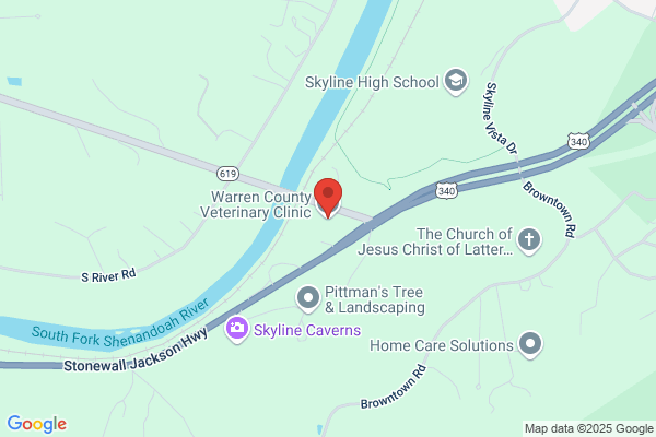 Stanek Shannon PA DVM