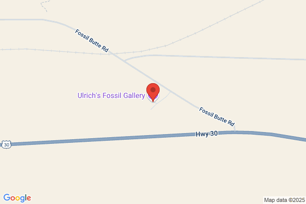 Ulrich's Fossil Gallery