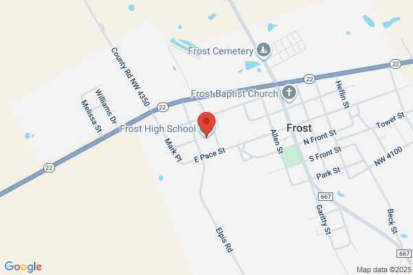 Frost Independent School District, High School