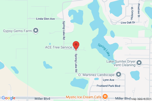 Ace Tree Service