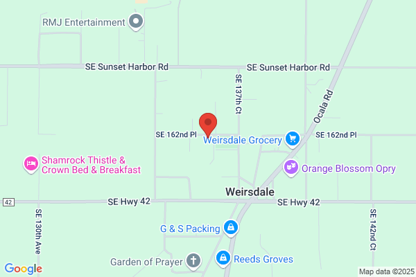 Diversified Tree Service