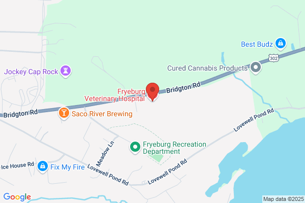 Fryeburg Veterinary Hospital