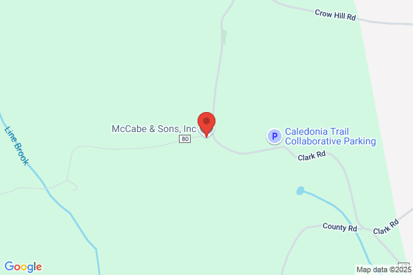 McCabe & Sons Inc