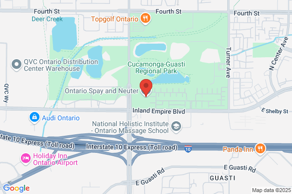 Low Cost Spay & Neuter Service In Fullerton & Yorba Linda