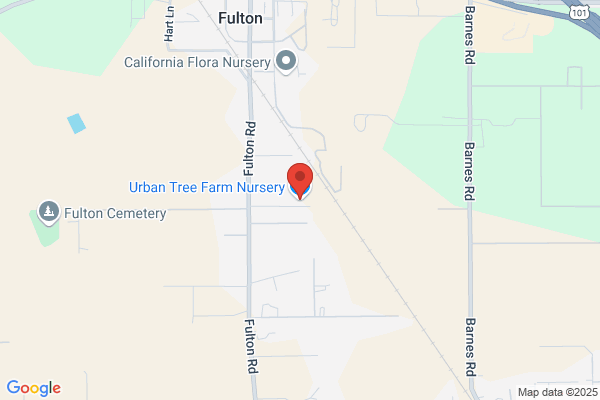Urban Tree Farm Nursery