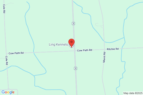 Ling Kennels