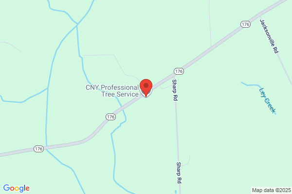 CNY Professionals Tree Service