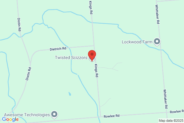 Stylish Scissors