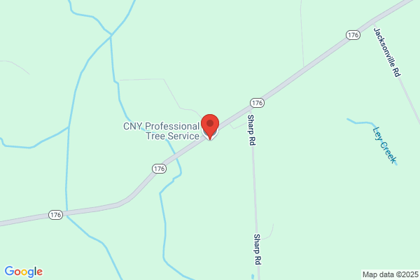 CNY Professional Tree Service
