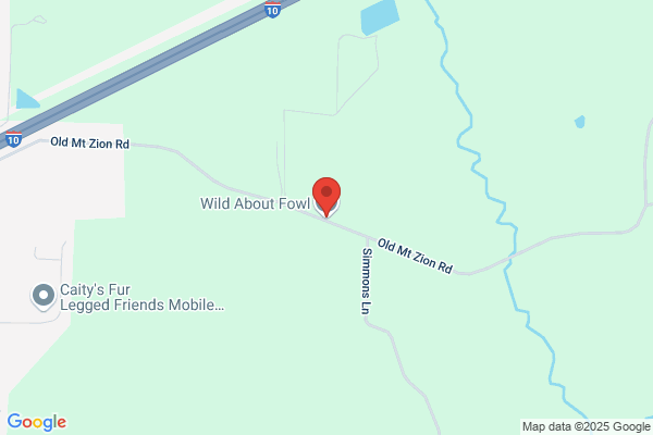 Wild About Fowl