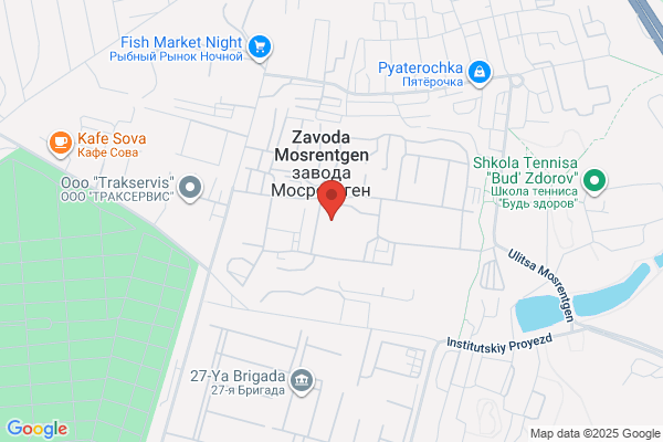 Forget Me Not