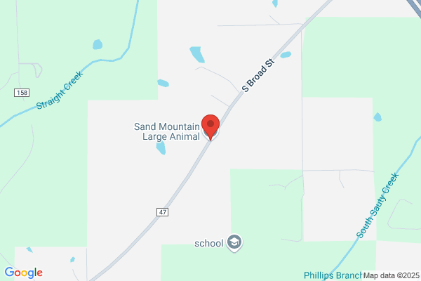 Childress, Brandy - Sand Mountain Large Animal