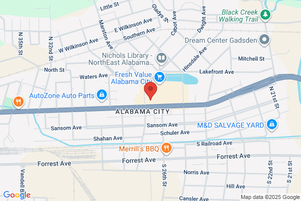 Advance Auto Parts