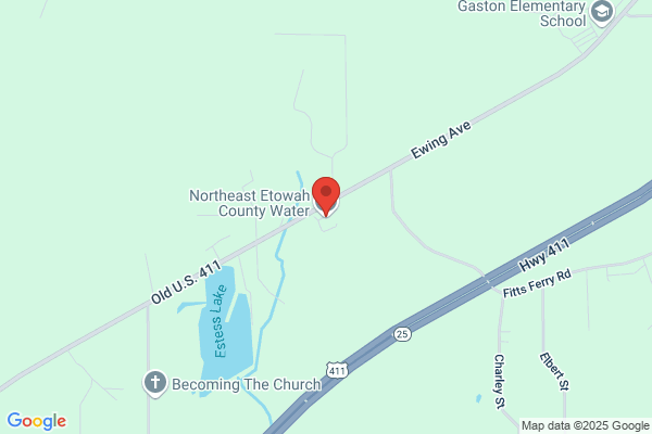 Northeast Etowah County Water