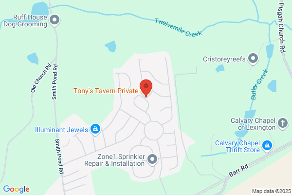 Tony's Lounge