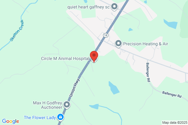 Circle M Animal Hospital