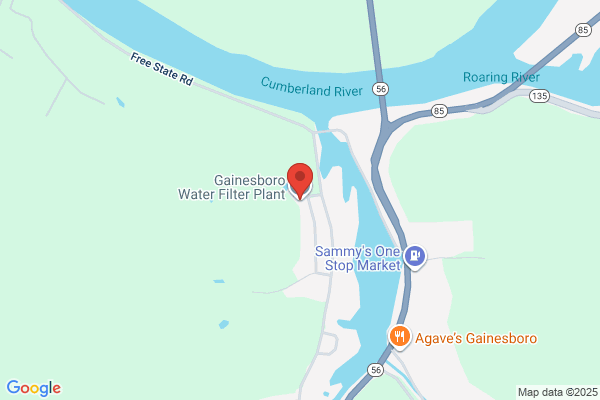 Gainesboro City of, Water Filter Plant