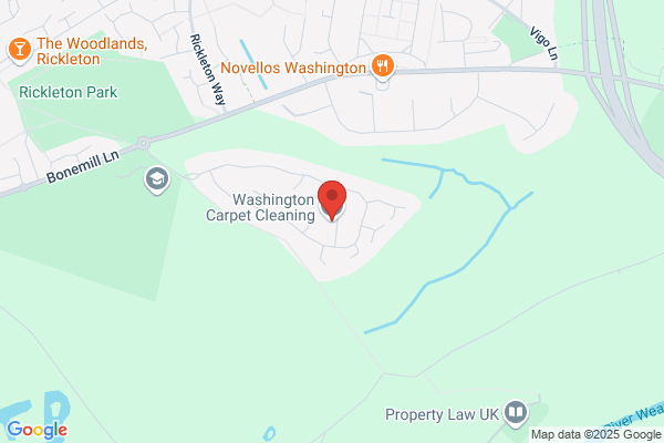 Washington Carpet Cleaning