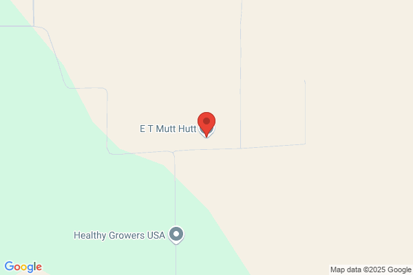 Mutt Hutt & Cattery