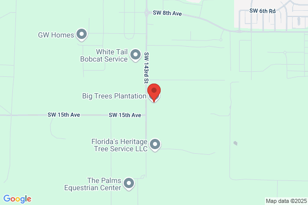 Big Trees Plantation Inc
