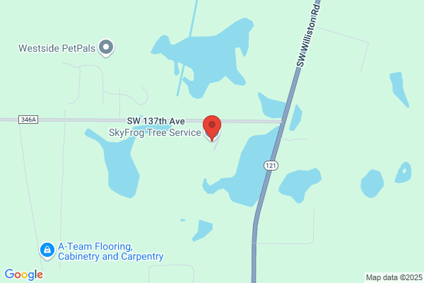 SkyFrog Tree Service