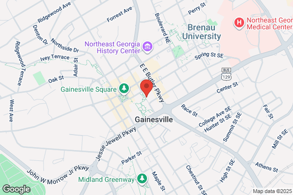 Hall County Government, Courts, Court Services