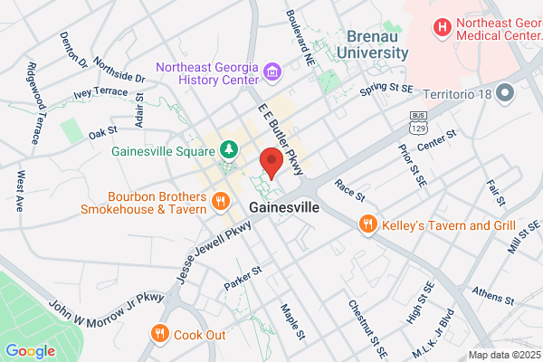Gainesville City Government, Business License