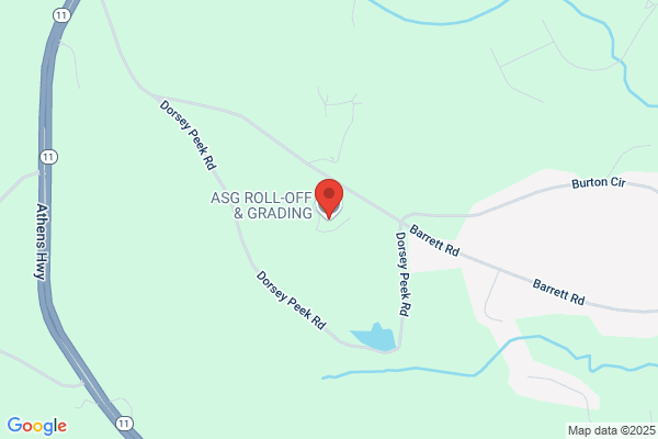 American Laser Grading Inc