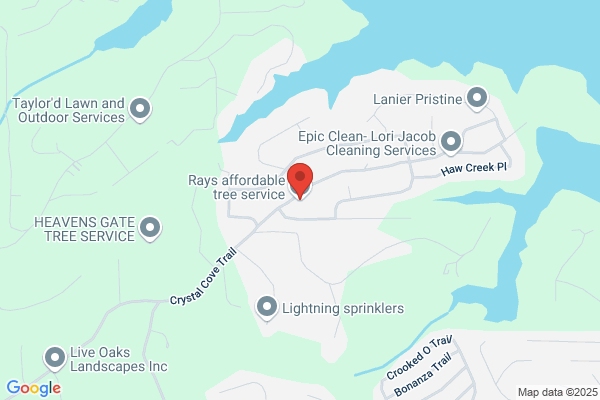Rays affordable tree service