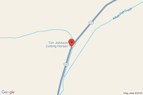 Johnson's Cutting Horses
