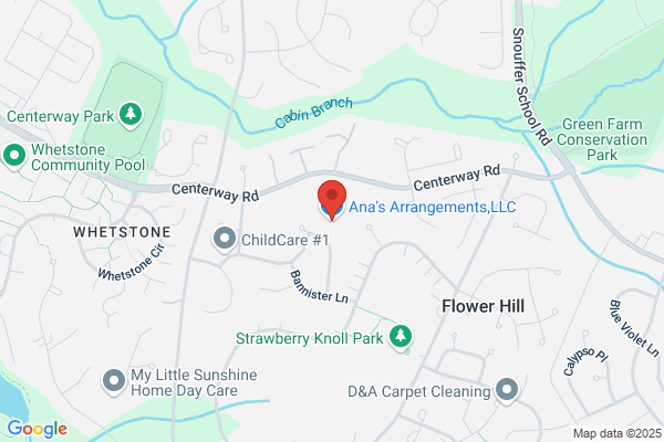 Ana's Arrangements LLC