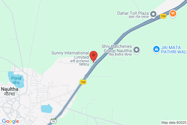 Sunny International Ltd Co