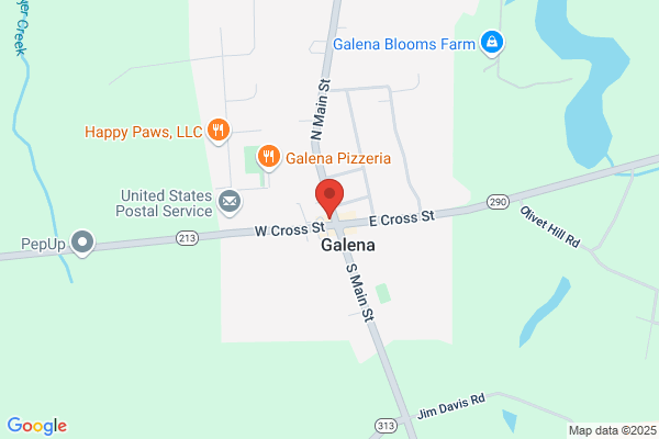 Galena Mini Mart