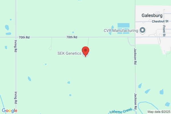 Sek Genetics