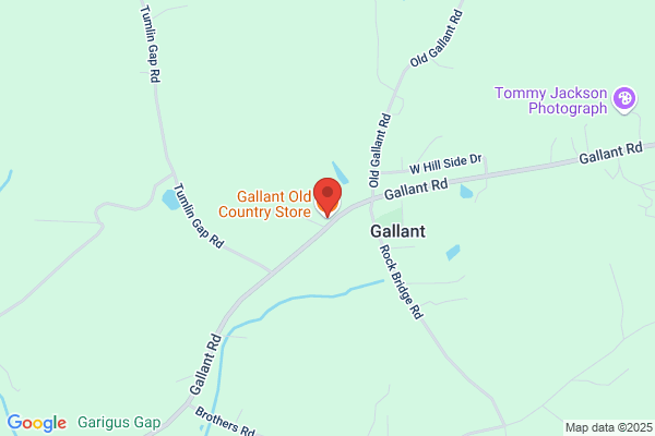 Gallant Grocery and Deli