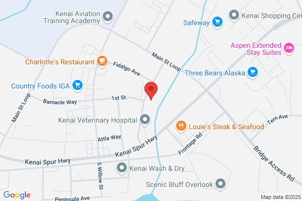 Kenai Engineering Inc