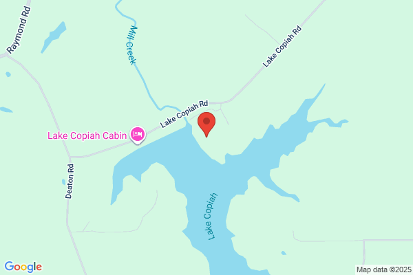 Lake Copiah Inc
