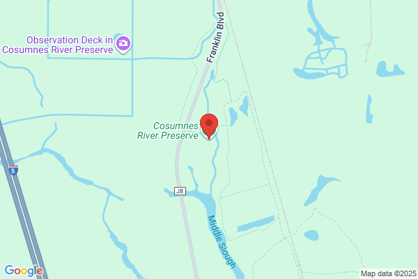 Cosumnes River Preserve