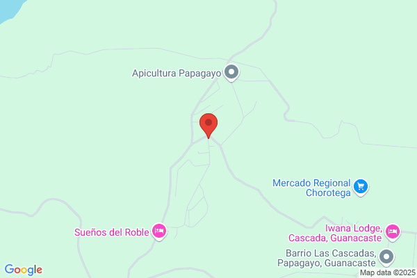 Costa Rican Estates - Altos Los Robles