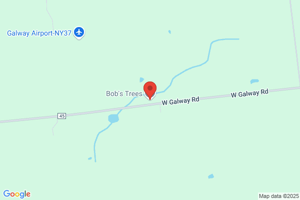 Bob's Trees