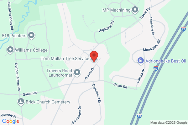 Tom Mullan Tree Removal