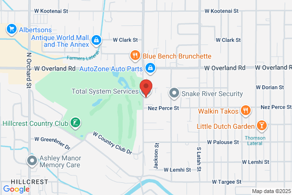 Total System Services