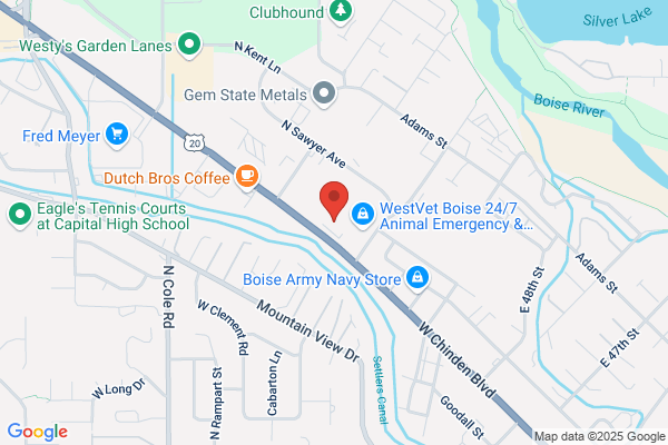 BOISE COST LESS CARPET, INC.