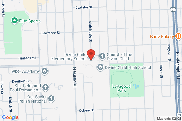Divine Child School