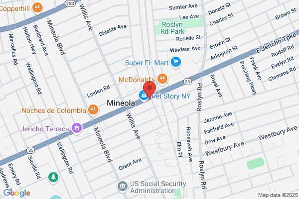 Supreme Furniture NYC