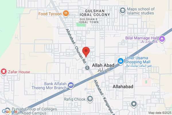 Mian Homes Usa Inc